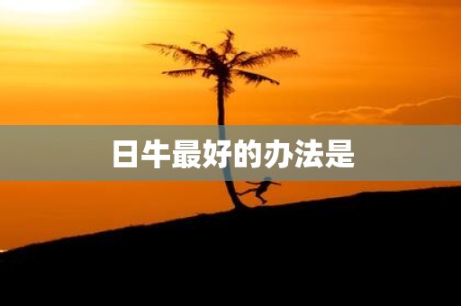 日牛最好的办法是