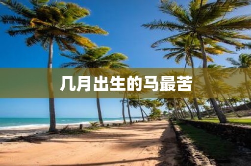 几月出生的马最苦