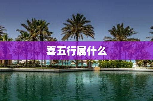 喜五行属什么