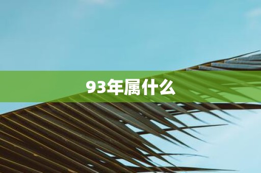 93年属什么