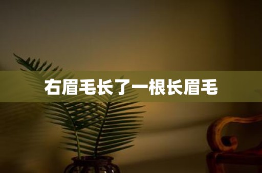 右眉毛长了一根长眉毛