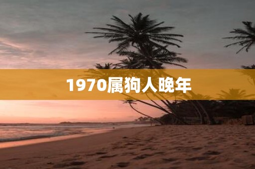 1970属狗人晚年