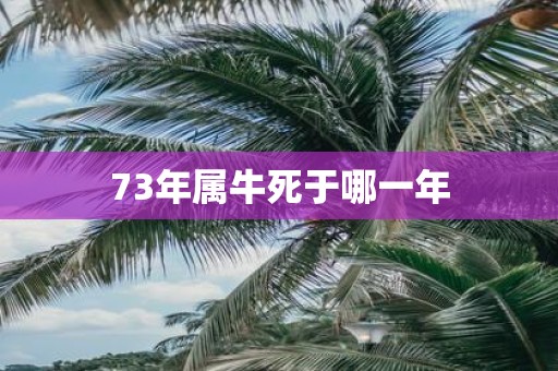 73年属牛死于哪一年