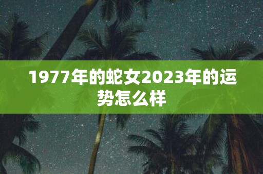 1977年的蛇女2025年的运势怎么样