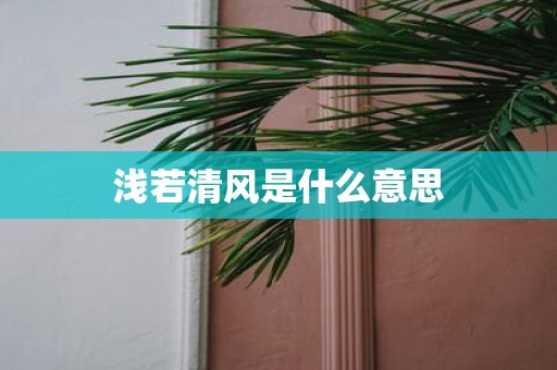浅若清风是什么意思