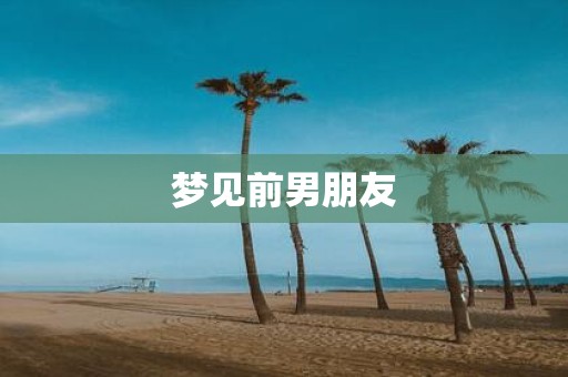 梦见前男朋友