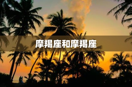 摩羯座和摩羯座