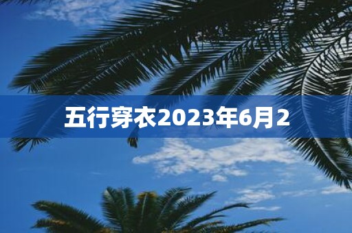五行穿衣2025年6月2