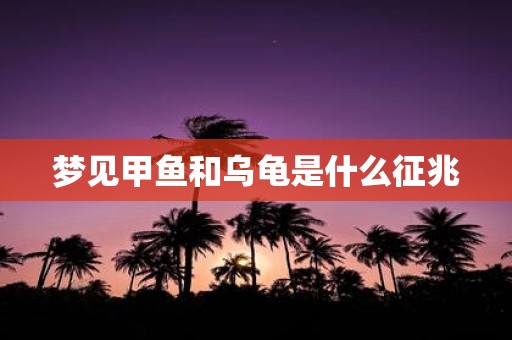 梦见甲鱼和乌龟是什么征兆