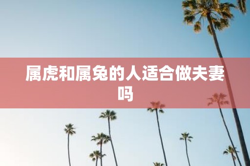 属虎和属兔的人适合做夫妻吗