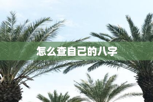 怎么查自己的八字