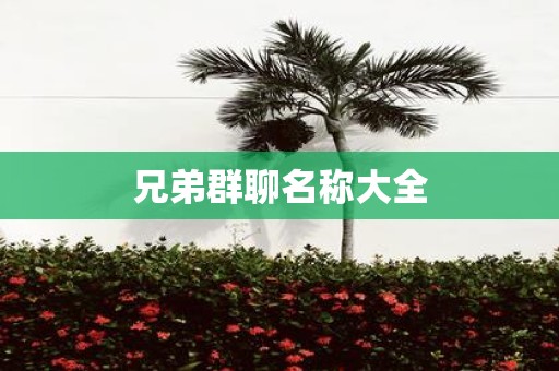 兄弟群聊名称大全