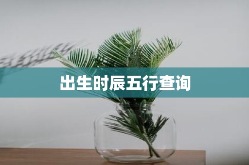 出生时辰五行查询