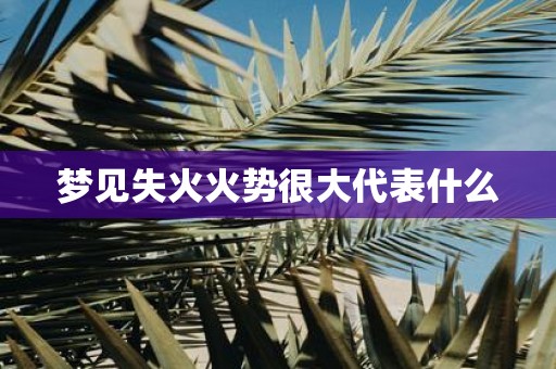 梦见失火火势很大代表什么