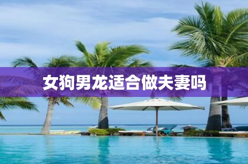 女狗男龙适合做夫妻吗