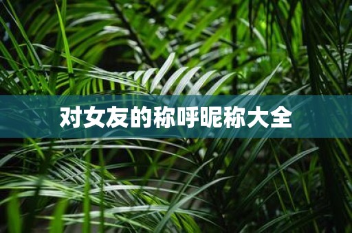 对女友的称呼昵称大全