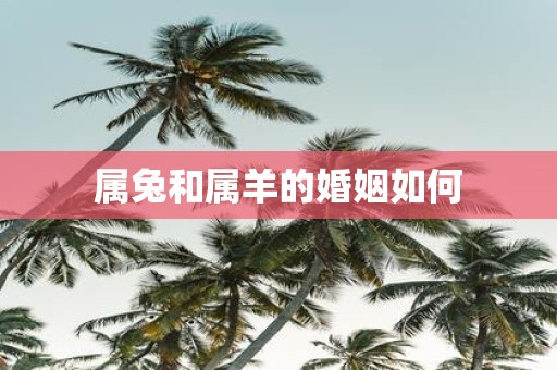 属兔和属羊的婚姻如何
