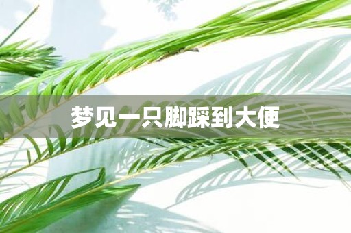 梦见一只脚踩到大便