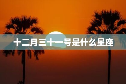 十二月三十一号是什么星座