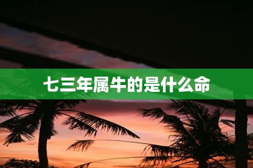 七三年属牛的是什么命