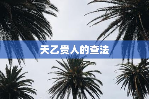 天乙贵人的查法