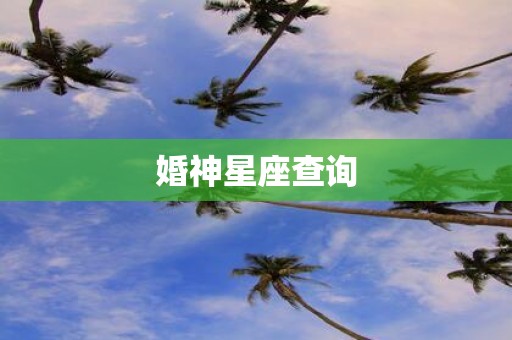 婚神星座查询