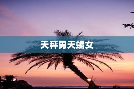 天秤男天蝎女