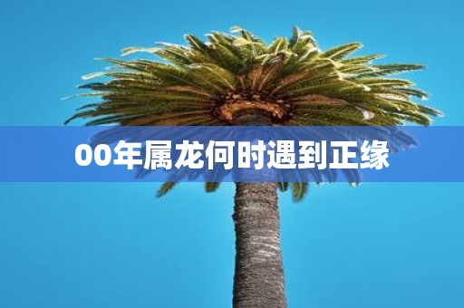 00年属龙何时遇到正缘