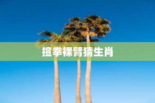 揎拳裸臂猜生肖