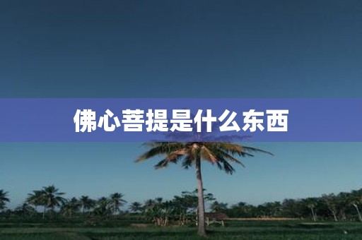 佛心菩提是什么东西