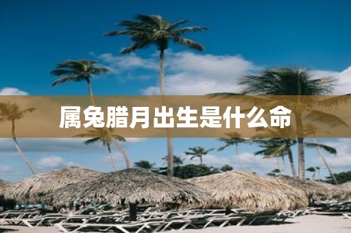 属兔腊月出生是什么命