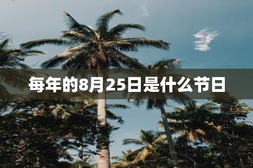 每年的8月25日是什么节日