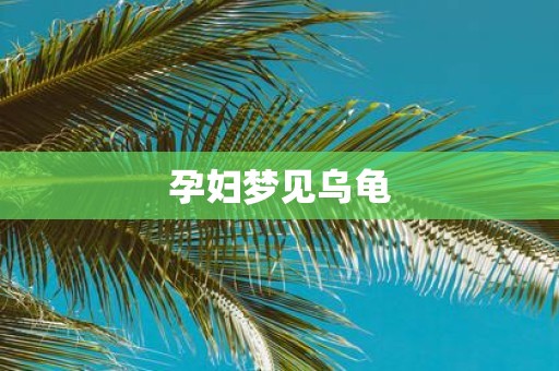 孕妇梦见乌龟