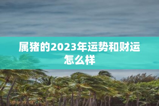 属猪的2025年运势和财运怎么样