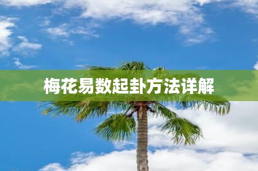 梅花易数起卦方法详解