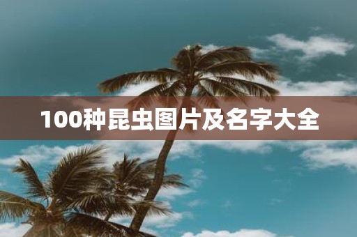 100种昆虫图片及名字大全