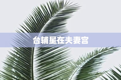 台辅星在夫妻宫
