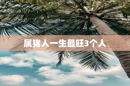 属猪人一生最旺3个人