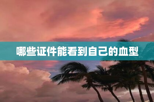 哪些证件能看到自己的血型