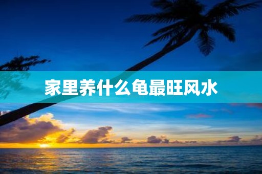 家里养什么龟最旺风水