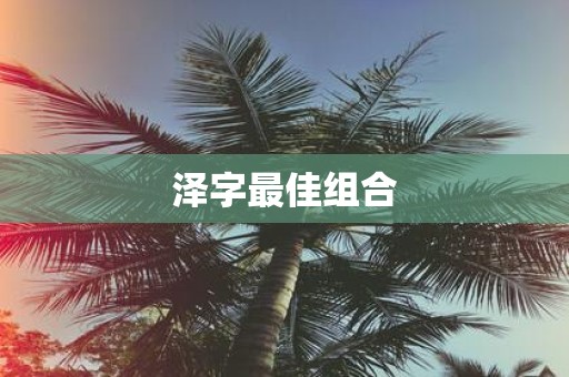 泽字最佳组合