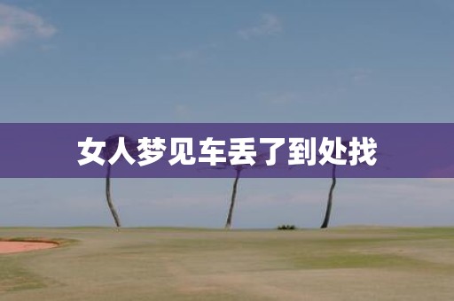 女人梦见车丢了到处找