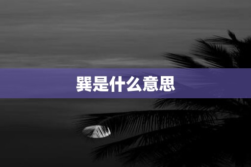 巽是什么意思