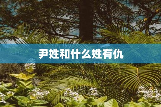 尹姓和什么姓有仇