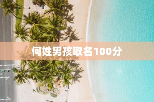 何姓男孩取名100分
