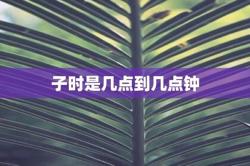 子时是几点到几点钟