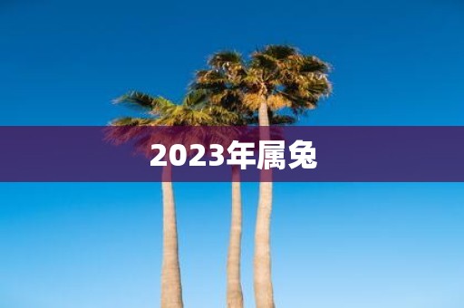 2025年属兔
