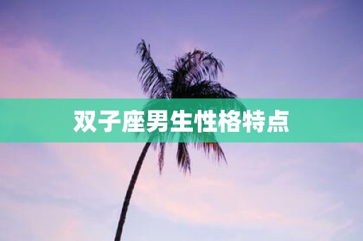 双子座男生性格特点