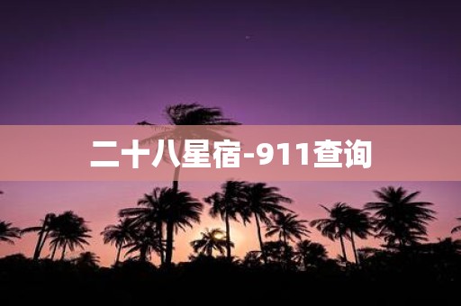 二十八星宿-911查询