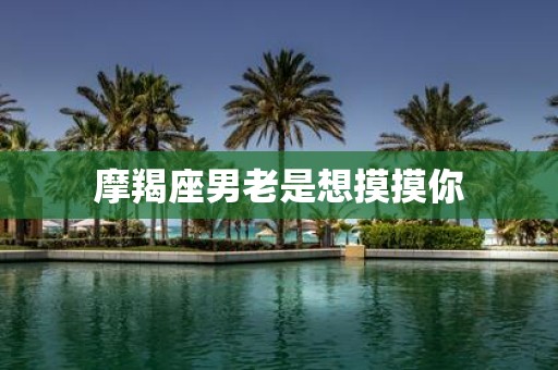 摩羯座男老是想摸摸你